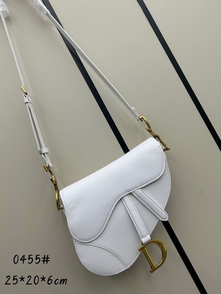 Dior saddle 0455 25.5x20x6.5cm jj1