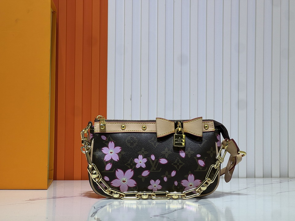 Pochette Acc M13666 22x13x4cm ss