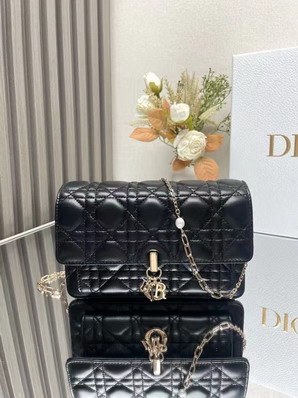 Dior 3105 19.5x12.5x5cm yz