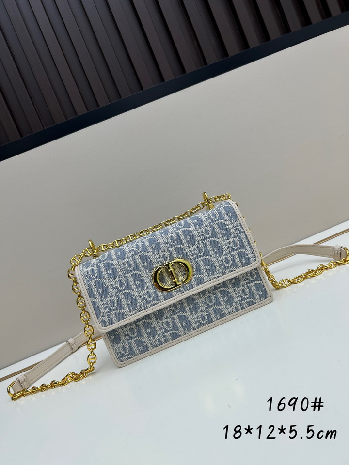 Dior caro 1690 18x12x5.5cm jj1