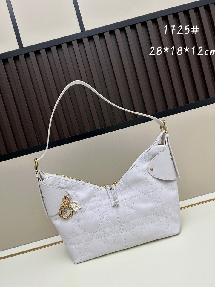 Dior 1725 28x18x12cm jj1