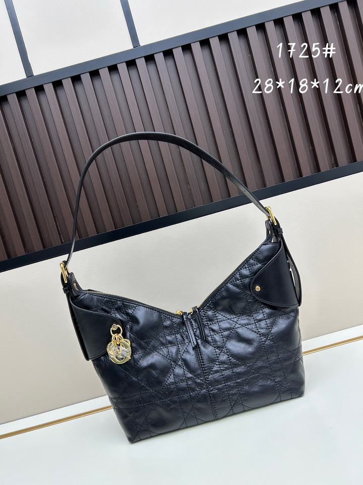 Dior 1725 28x18x12cm jj2